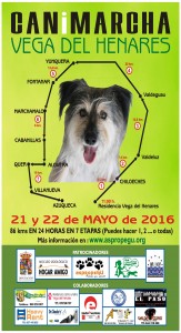cartelcanimarcha