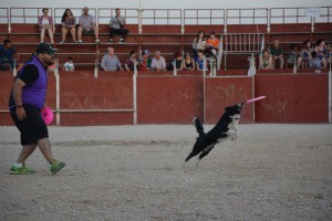 Superperros1