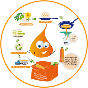 aceite usado esquema