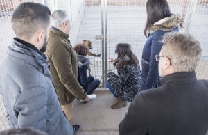Presentación Obras_3