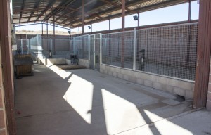 Presentación Obras_5
