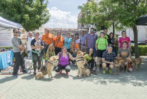 Perrimarcha 2018_6