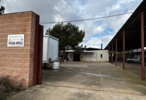 Hogar Amigo consigue reencontrar a 90 perros perdidos con sus familias y realiza 22 adopciones en situación de abandono